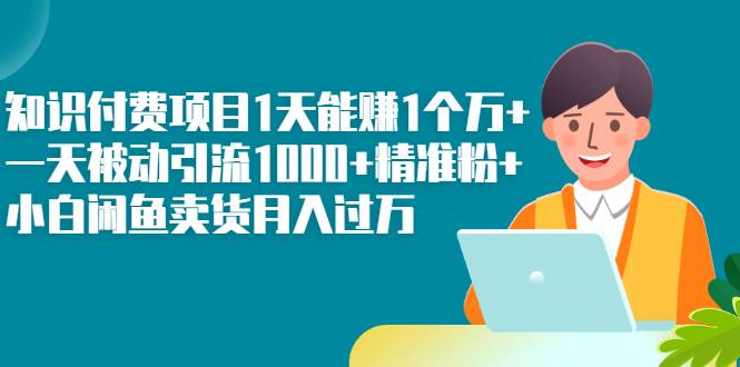 知识付费项目1天能赚1个万+一天被动引流1000+精准粉+小白闲鱼卖货月入过万-王总副业网