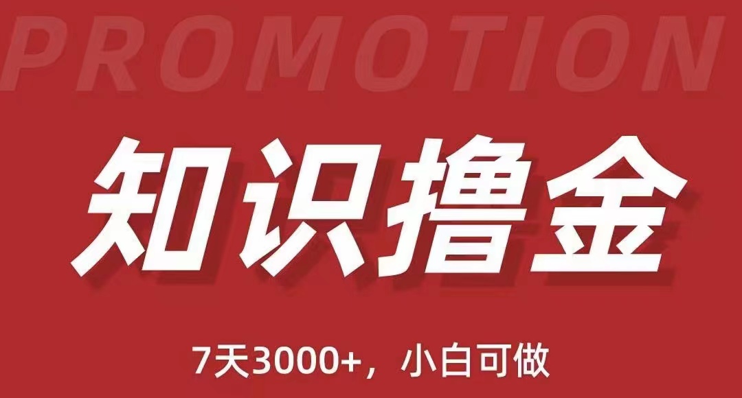 抖音知识撸金项目：简单粗暴日入1000+执行力强当天见收益(教程+资料)_米豆学社-小新