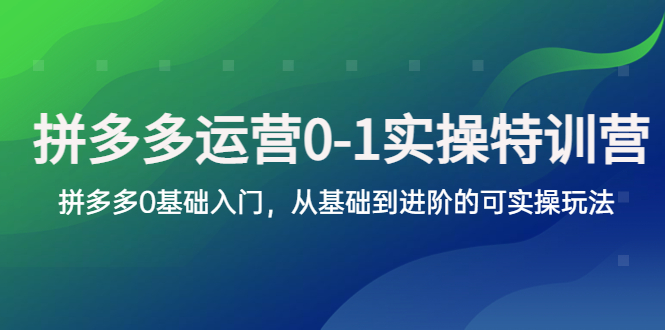 拼多多-运营0-1实操训练营，拼多多0基础入门，从基础到进阶的可实操玩法_米豆学社-小新