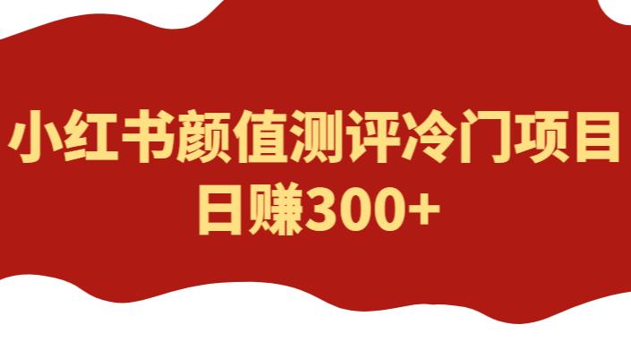 外面1980的项目，小红书颜值测评冷门项目，日赚300+【揭秘】_米豆学社-小新