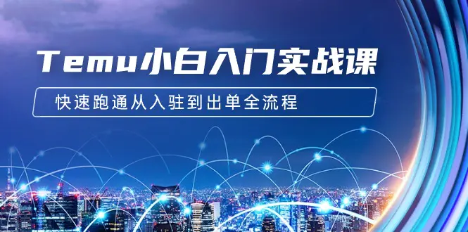 Temu小白入门实战课：跨境拼多多电商培训 快速跑通从入驻到出单全流程-12节_米豆学社-小新