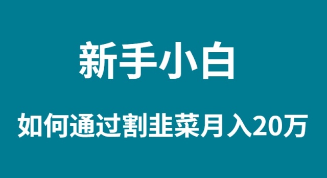 新手小白如何通过割韭菜月入 20W_米豆学社-小新