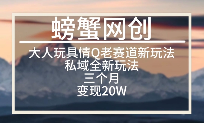 大人玩具情Q用品赛道私域全新玩法，三个月变现20W，老项目新思路_米豆学社-小新