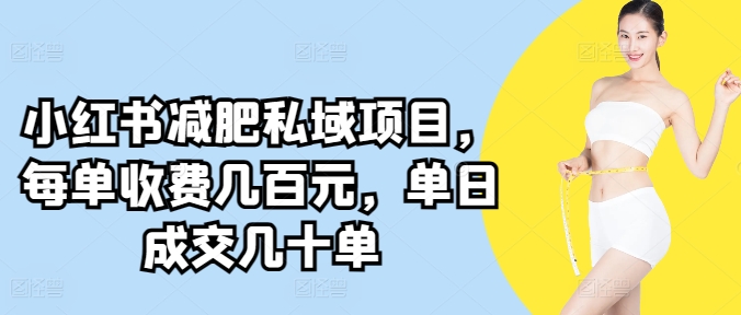 小红书减肥私域项目，每单收费几百元，单日成交几十单_米豆学社-小新