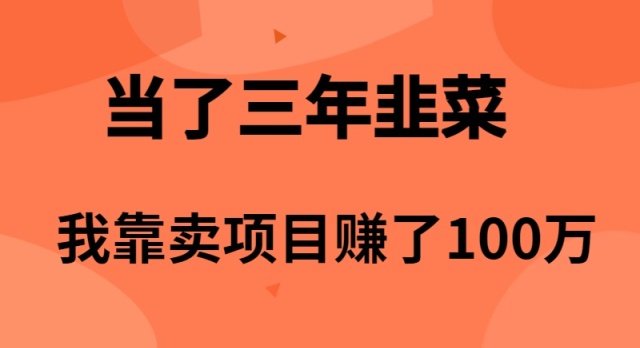 当了3年韭菜，我靠卖项目赚了100万_米豆学社-小新