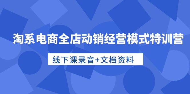 淘系电商全店动销经营模式特训营，线下课录音+文档资料_米豆学社-小新