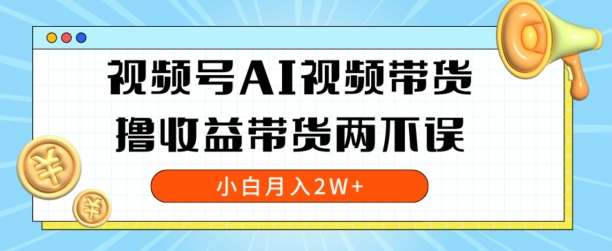 视频号AI视频带货，全程解放双手，撸收益带货两不误，小白月入2W+_米豆学社-小新