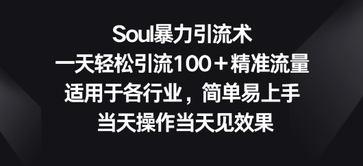 Soul暴力引流术，一天轻松引流100＋精准流量，适用于各行业，简单易上手_米豆学社-小新