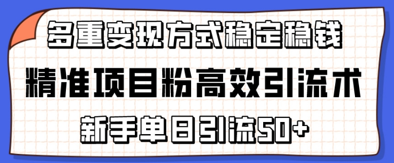 精准项目粉高效引流术，新手单日引流50+，多重变现方式稳定赚钱_米豆学社-小新