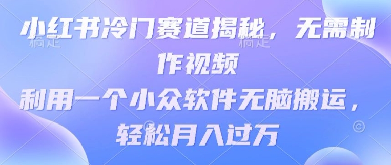 小红书冷门赛道揭秘，无需制作视频，利用一个小众软件无脑搬运，轻松月入过万_米豆学社-小新