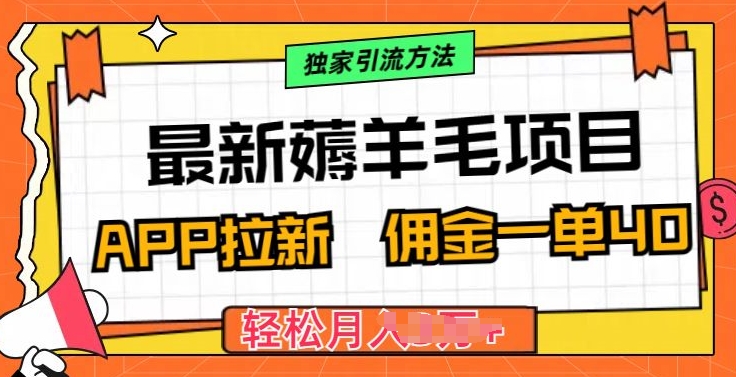 最新薅羊毛项目，利用购物APP拉新，佣金一单40.配合独家引流方法_米豆学社-小新